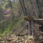 Windrock DH Drop