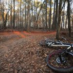 Enduro Next To Slalom Run