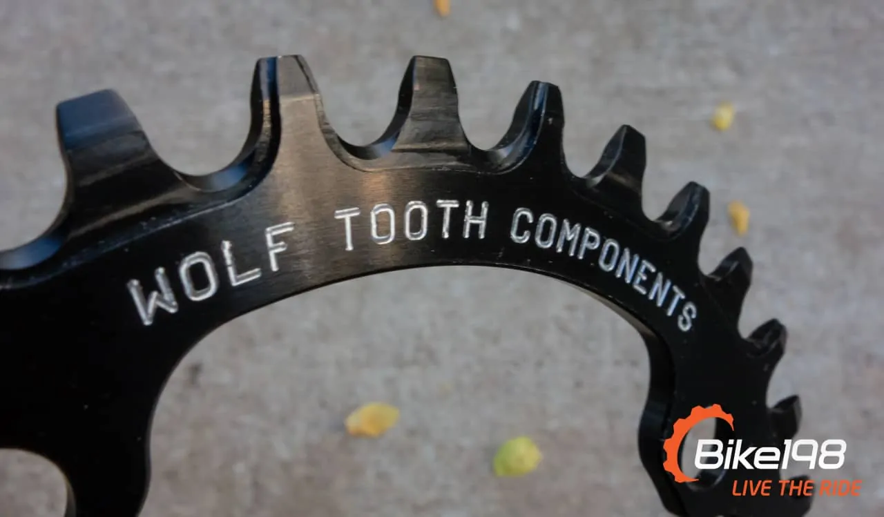 Review: Wolf Tooth Drop-Stop chainring 5 DSC00716