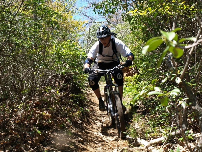 Did Asian carbon bike manufacturing kill boutique brands? 4 robb dh1