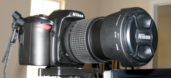 Nikon D80 img 5425