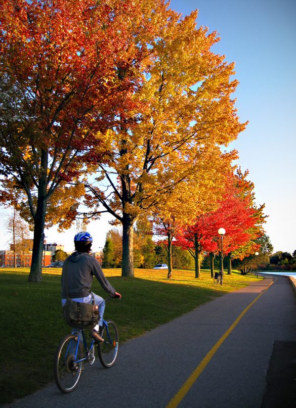 autumn commute bike ride