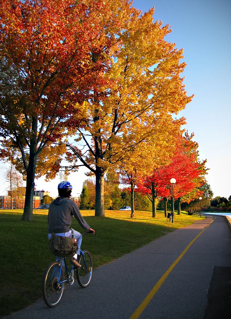 autumn commute bike ride