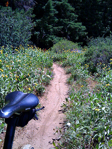 Mountain Bike Trail Review img 0190