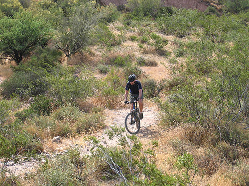 Pemberton Trail in McDowell Part Mountain Biking mcdowell trail 1