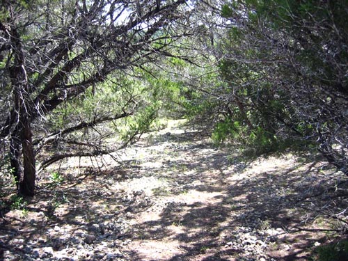 Government Canyon SNA Mountain Bike Trail government canyon trail 3
