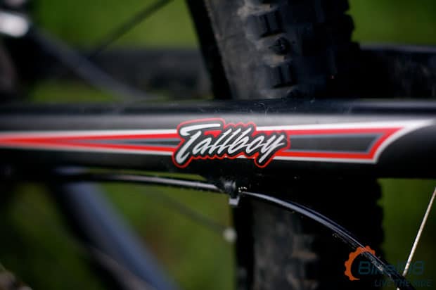 Tallboy Logo Tallboy Logo