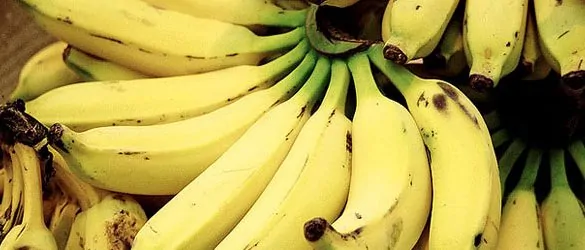 Energy Boosting Foods for Mountain Bikers