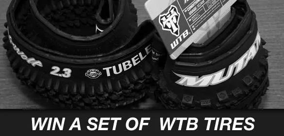 Win A Set Of WTB Tires