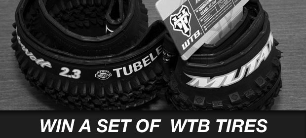Win A Set Of WTB Tires Win A Set Of WTB Tires