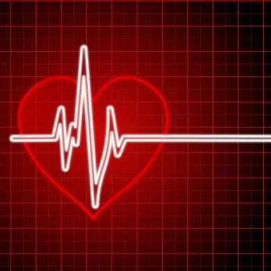 Heart Rate Monitor - Mountain Biking - Cycling