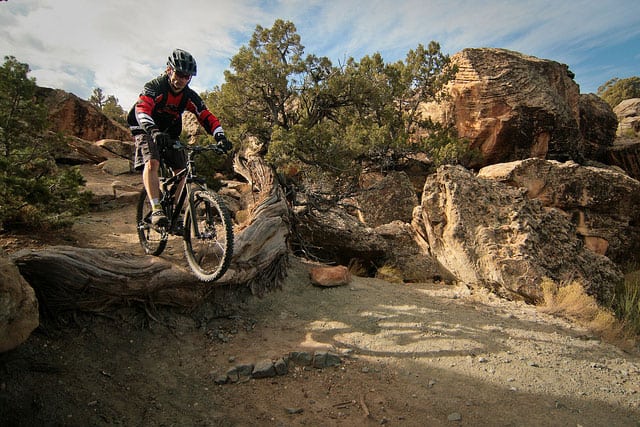 Mountain Biking in the Desert Mountain Biking in the Desert