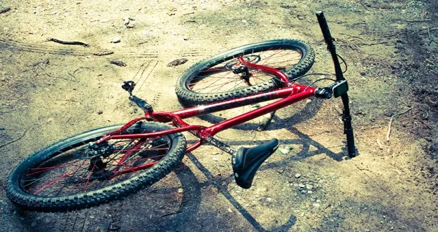 Rigid Single Speed Mountain Bike 29er