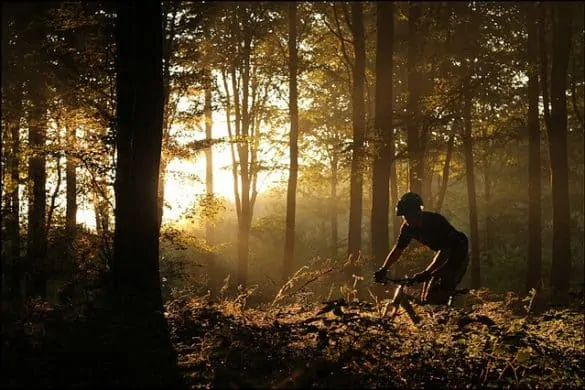 Fall Mountain Biking