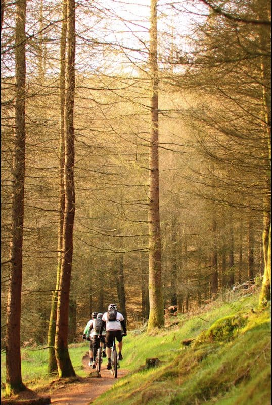 Backwoods Mountain Biking