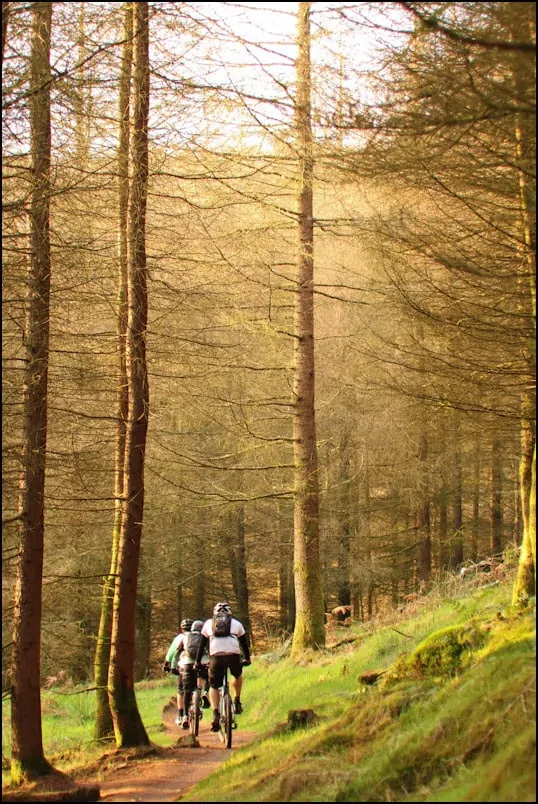 Backwoods Mountain Biking