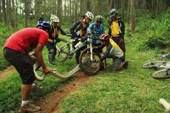 Mountain Biking Snake