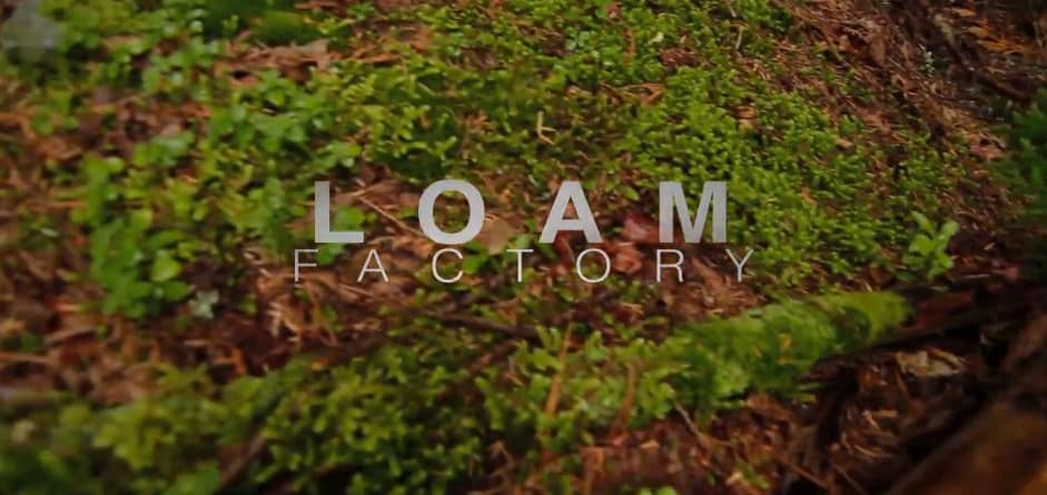 loam