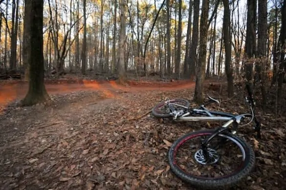 specialized enduro 022