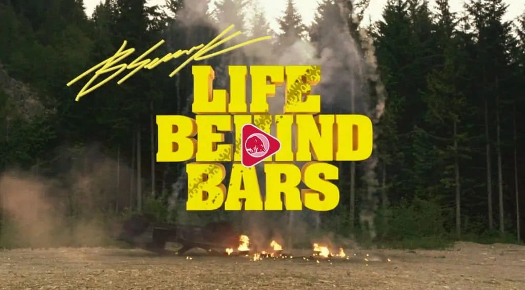 bars