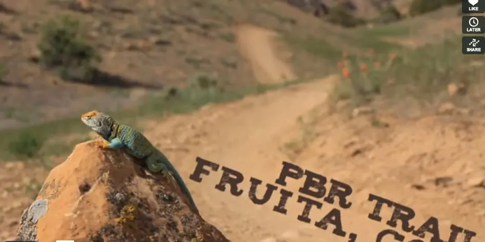 fruita