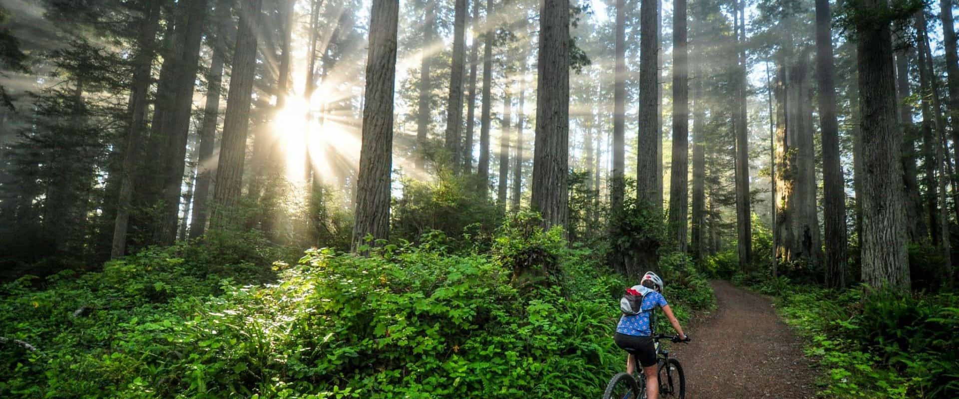 Mountain Biking Getaway