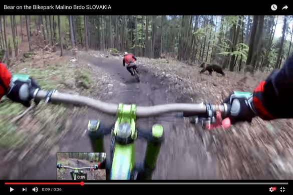 Screenshot (38) Screenshot 38