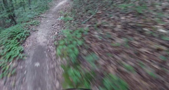GoPro Session 5 Image Stabilization Test / Coldwater Creek / Bomb Dog DH