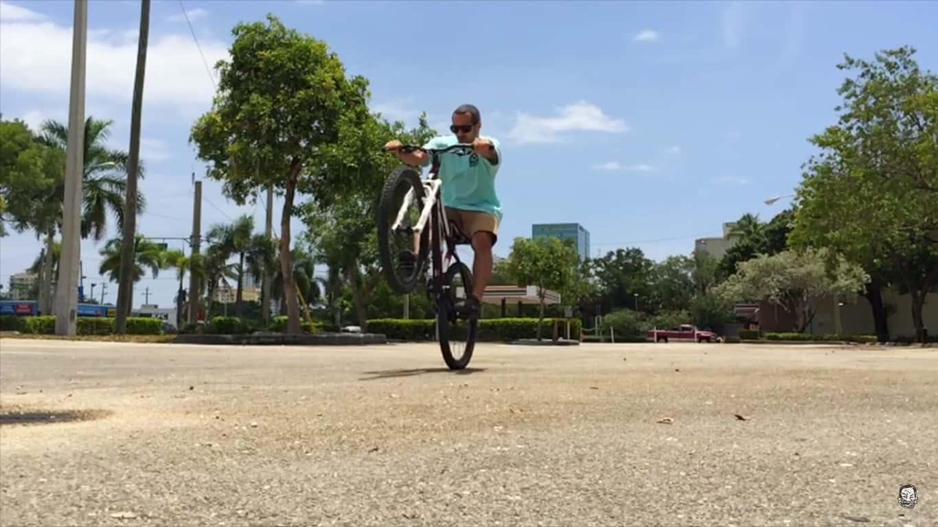 Manual a Mountain Bike