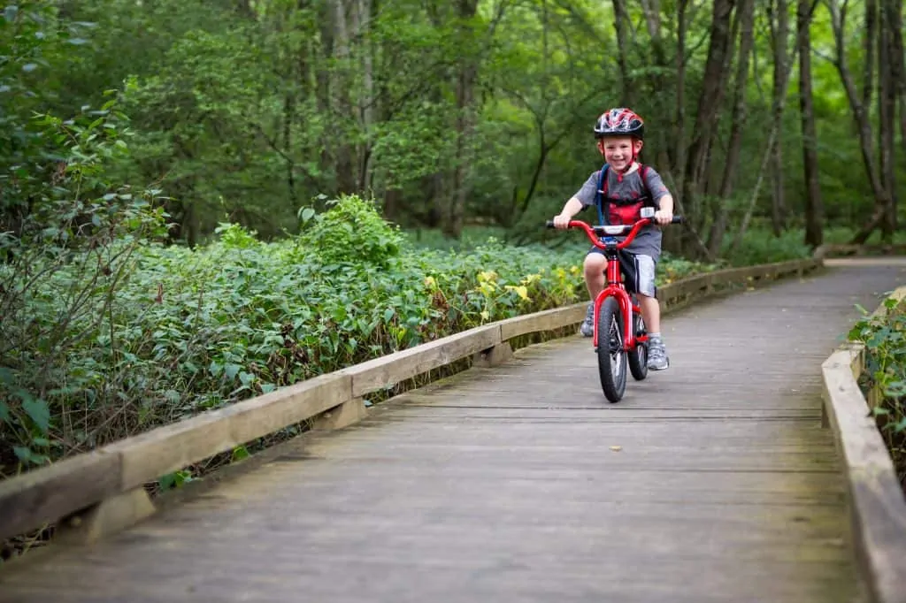 The Greatest Joy in Mountain Biking 6 Specialized Hotrock