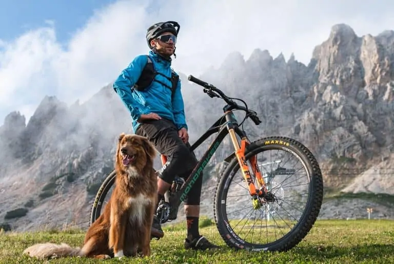 mtb dog