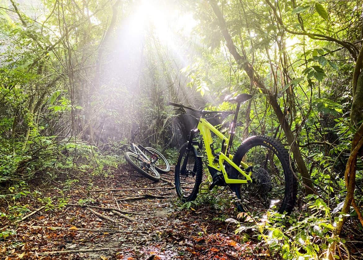 Santa Cruz Heckler E-Bike