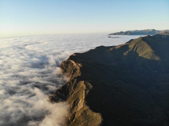 Pike 29 mountain bike trail in new Zealand