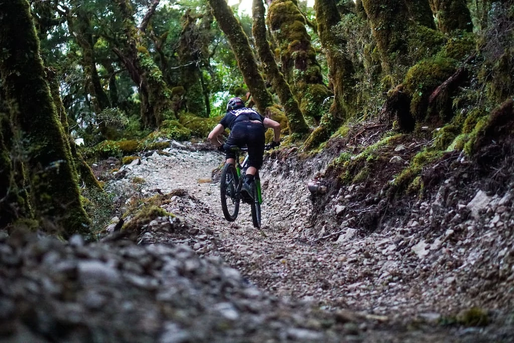 Pike 29 mountain bike trail in new Zealand