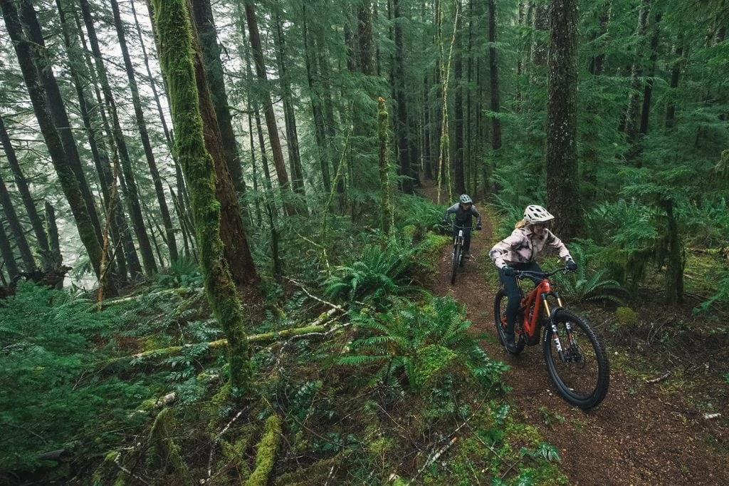 Just when you thought mountain bikes couldn't get any more expensive... 6 Specialized Turbo Levo