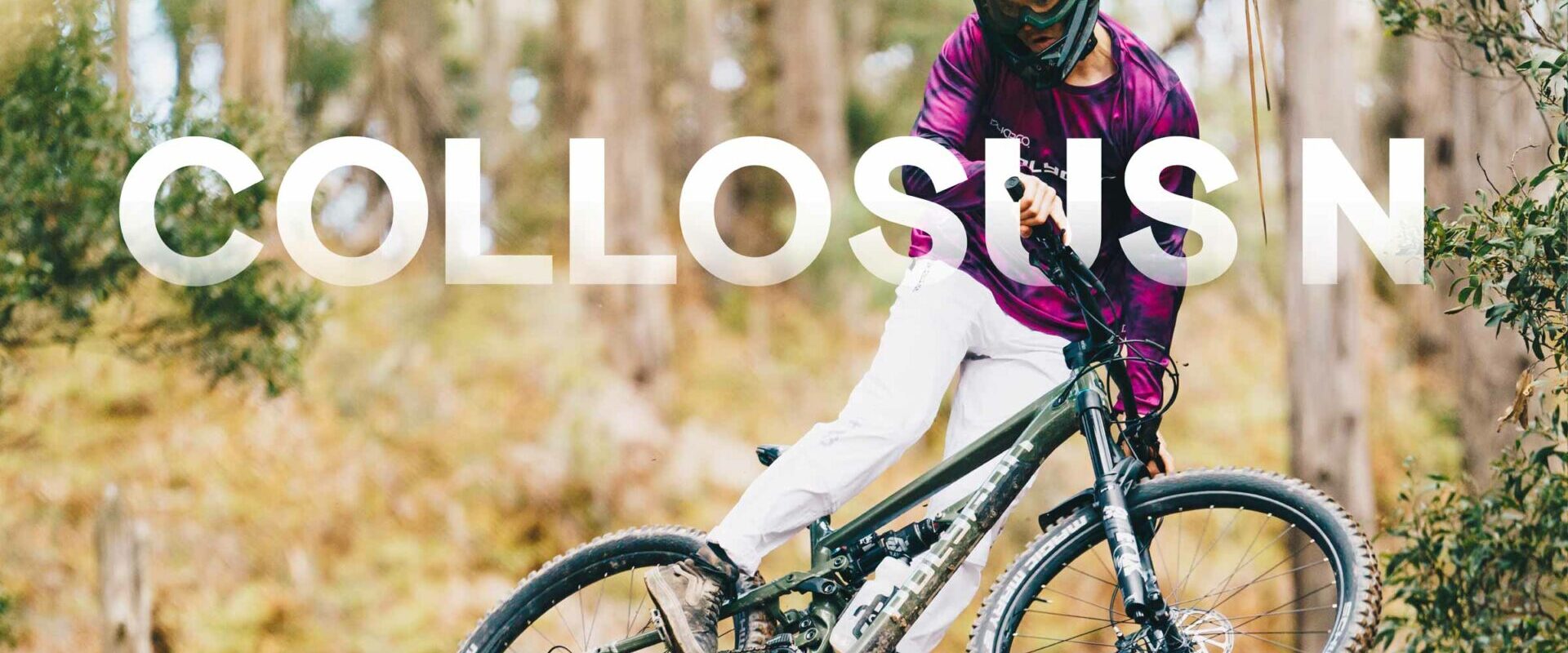 polygon collosus n9 review