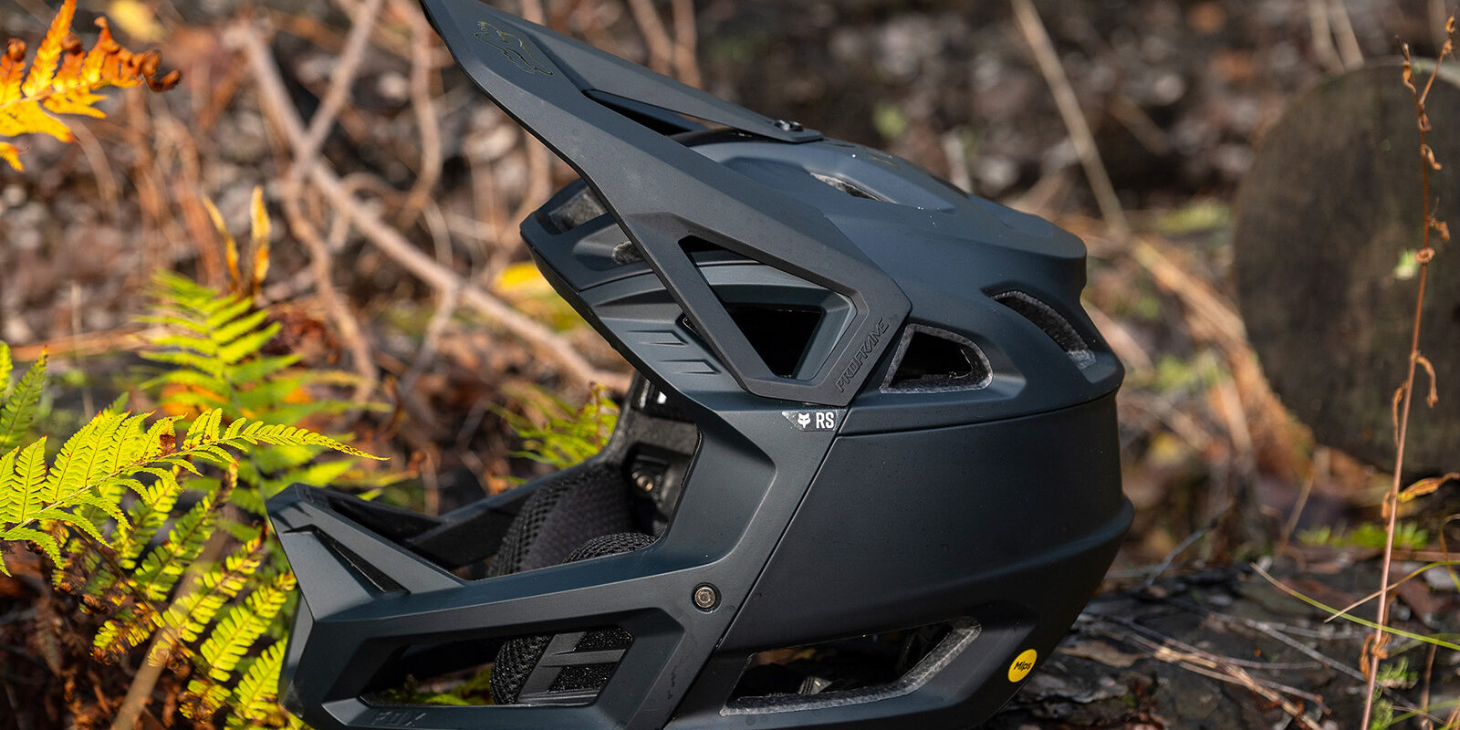Fox Racing Proframe RS Review